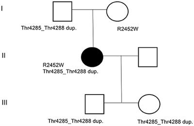 Functional Electrical Stimulation: A Possible Strategy to Improve Muscle Function in Central Core Disease?